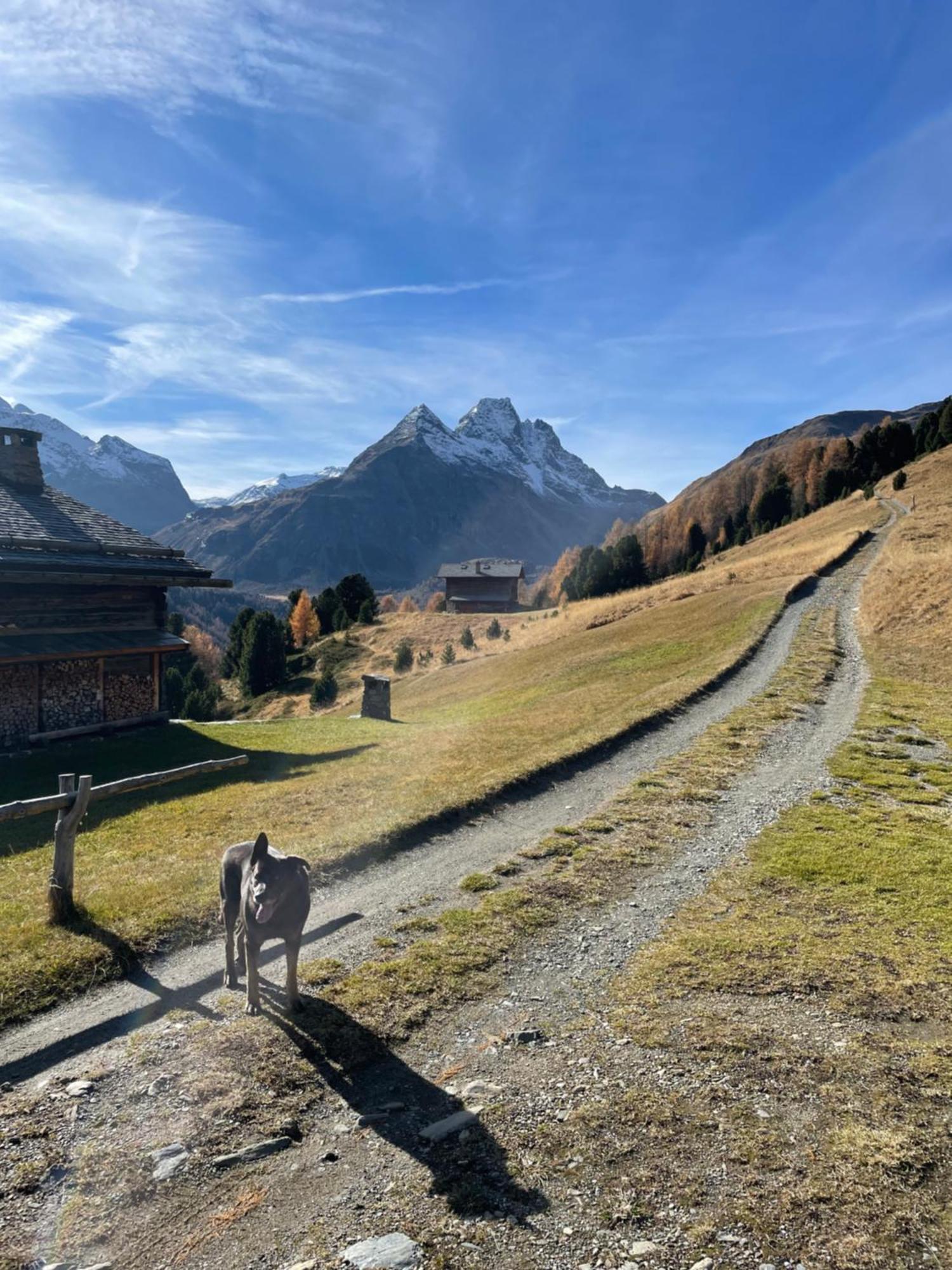 Residence S Lucia - Appartamenti Alle Porte Di Bormio วัลดิซอตโต ภายนอก รูปภาพ